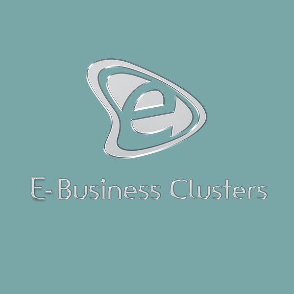 E-Business Clusters - Rianna Chaita